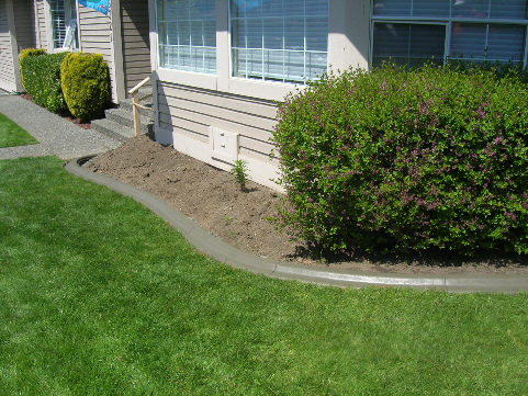Residential Landscape Curbing for Easy Garden Maintenance - After